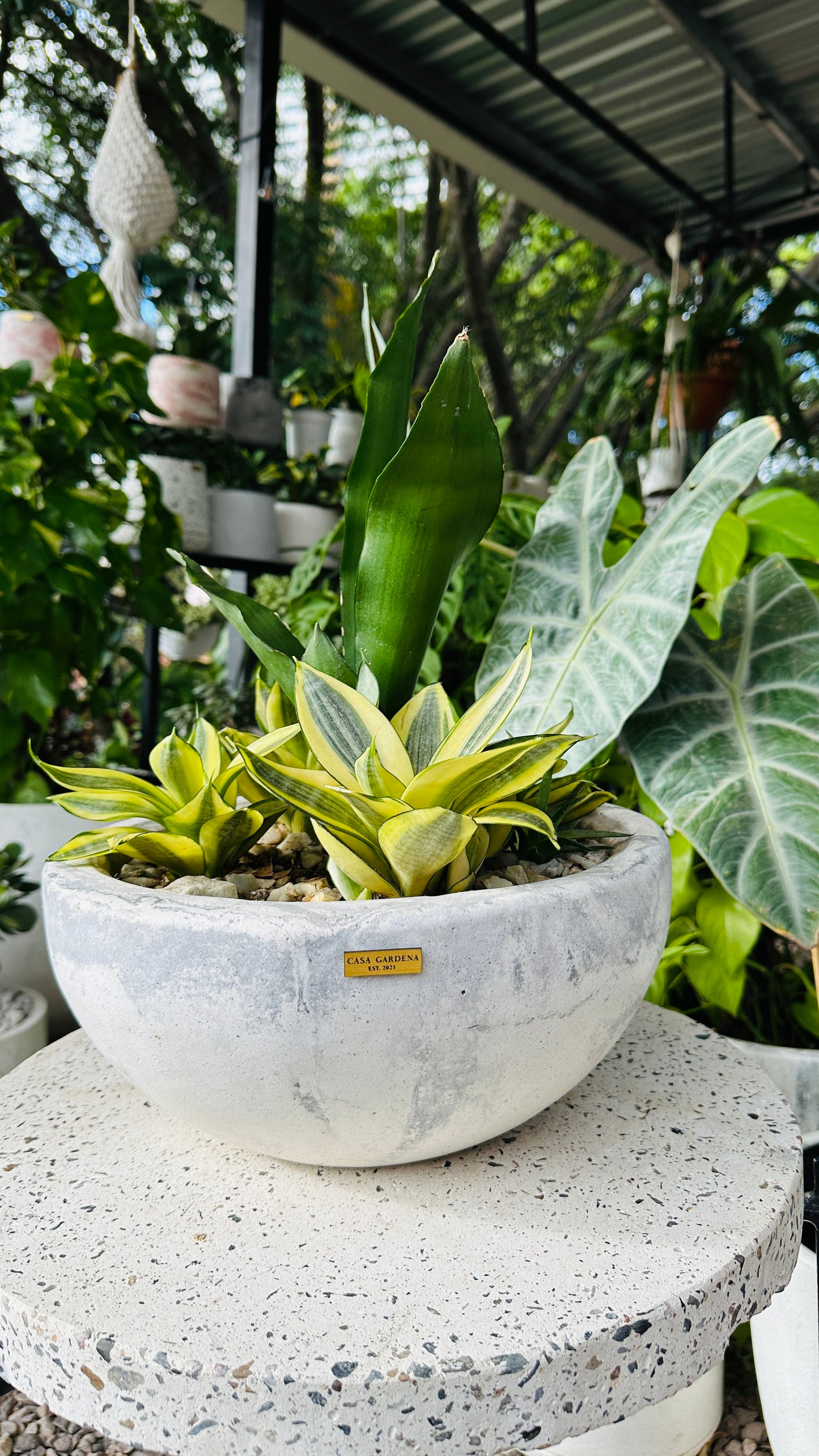 Vasto Bowl