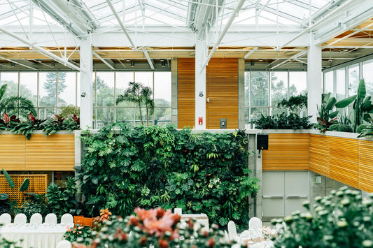 El arte del Plantscaping