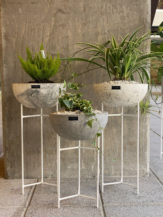 Vasto Bowl