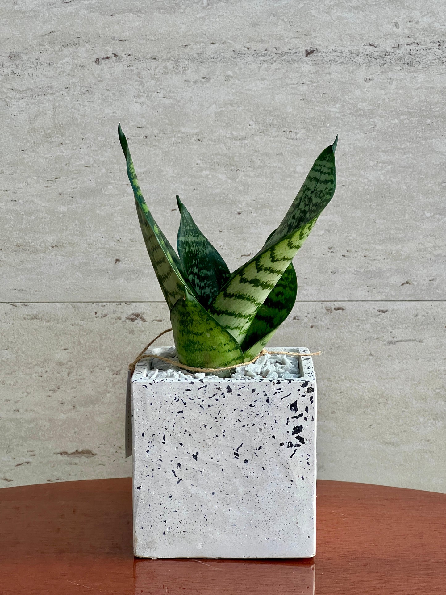 Hahni Verde
