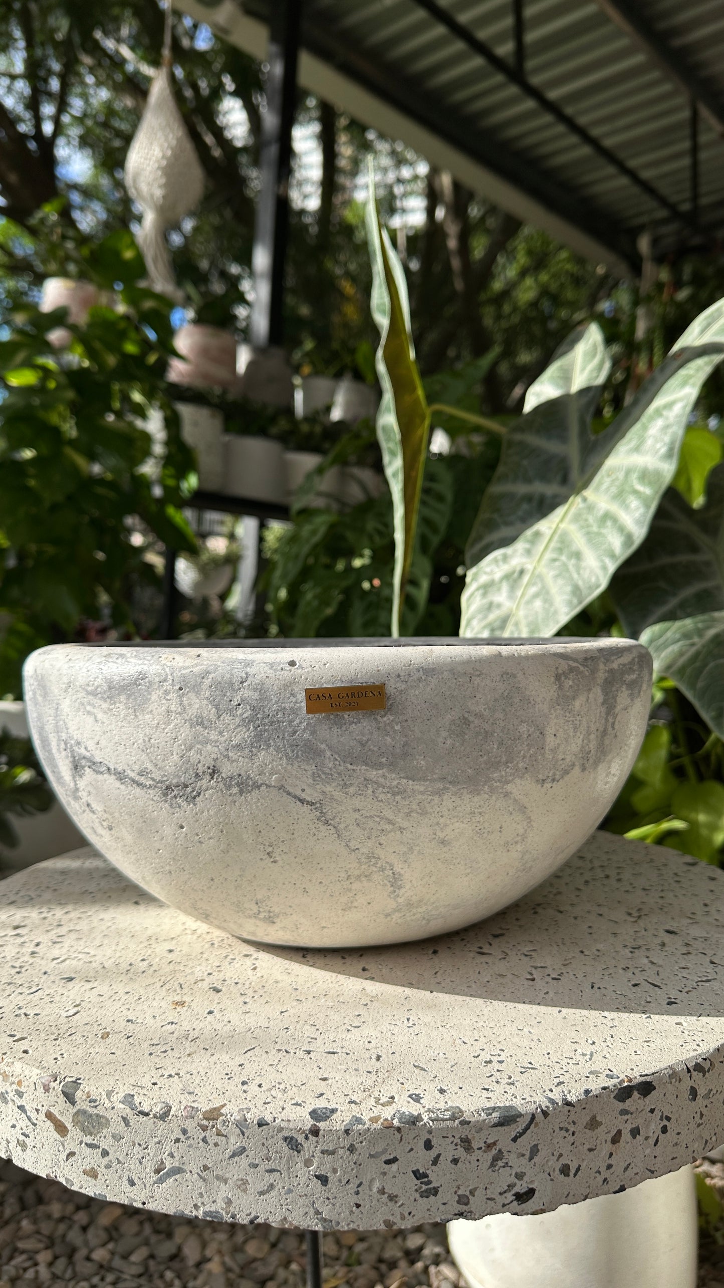 Vasto Bowl