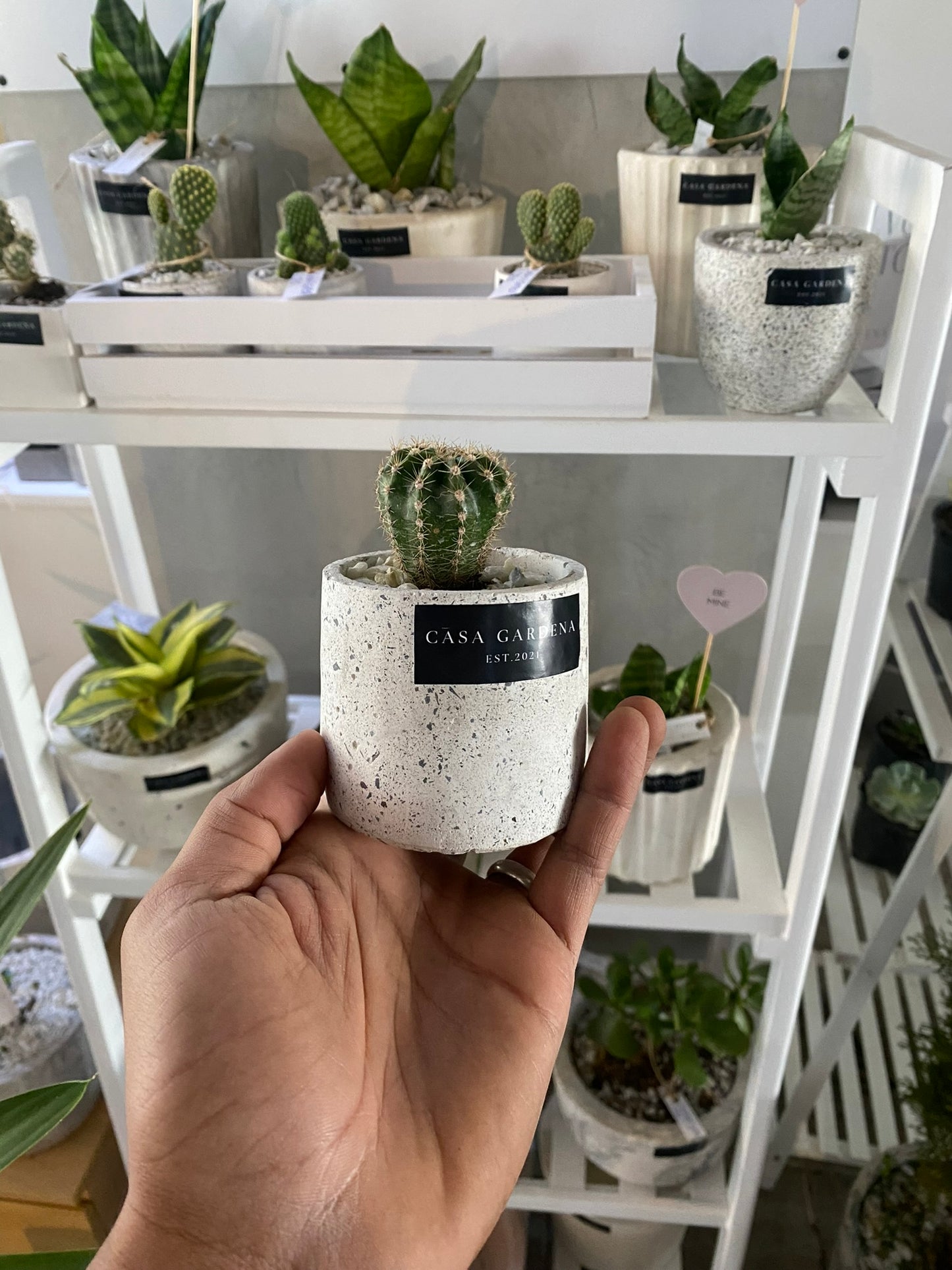 MINI POT