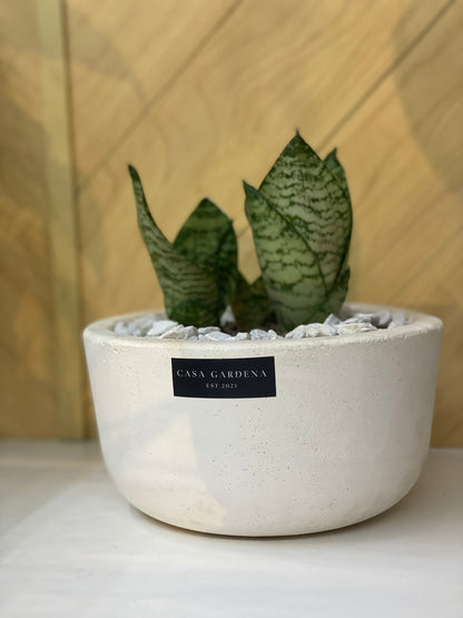 Mezzo Pot