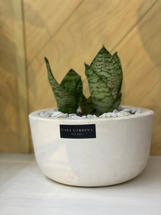 Mezzo Pot
